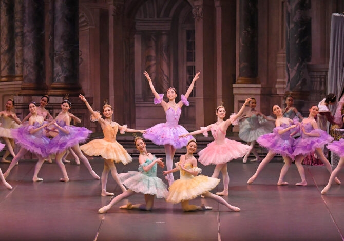 <?php the_title(); ?>